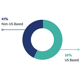 a pie chart showing percentage of Us based and Non-Us based